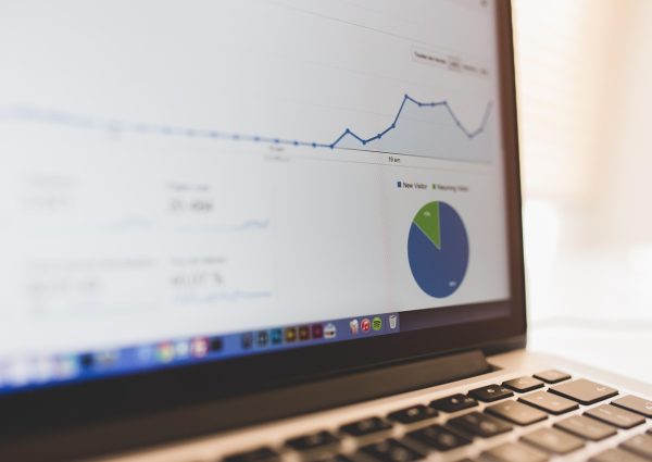 computer, summary, chart, business, seo, presentation, business presentation, screen, laptop screen, growth, notebook, laptop, digital notebook, computer, chart, business, business, seo, seo, seo, seo, seo, presentation, growth, growth, laptop